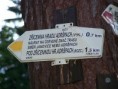 /album/fotogalerie2/na-zriceninu-jpg/